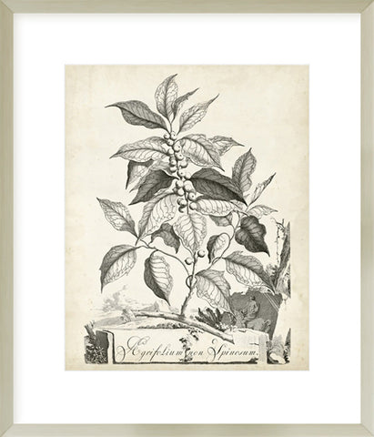 Biella Art framed prints melbourne