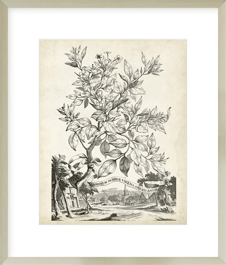 Biella Art framed prints melbourne