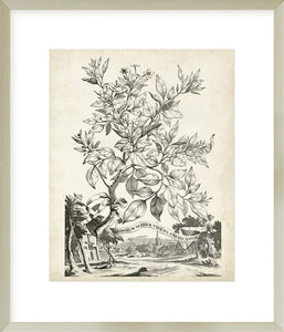 Biella Art framed prints melbourne