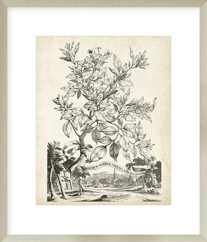 Biella Art framed prints melbourne