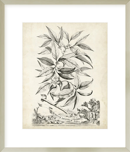 Biella Art framed prints melbourne