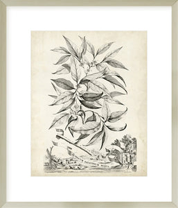 Biella Art framed prints melbourne