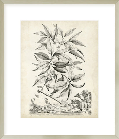 Biella Art framed prints melbourne