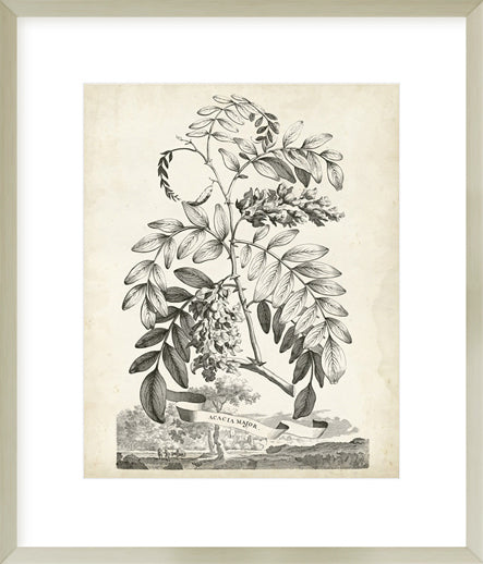 Biella Art framed prints melbourne