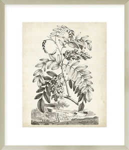 Biella Art framed prints melbourne