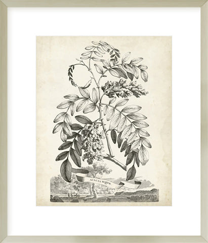 Biella Art framed prints melbourne