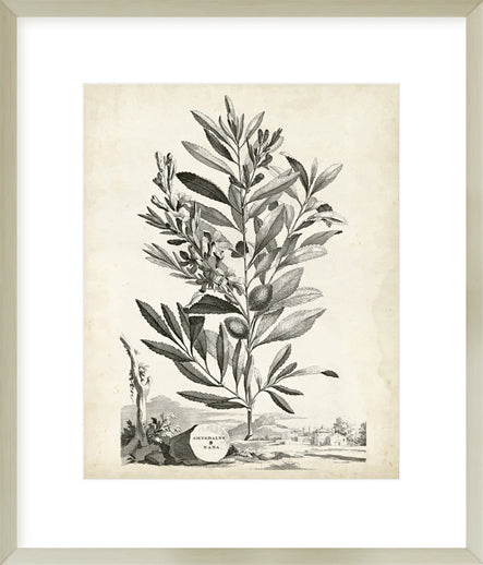 Biella Art framed prints melbourne