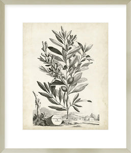 Biella Art framed prints melbourne