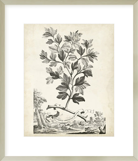 Biella Art framed prints melbourne