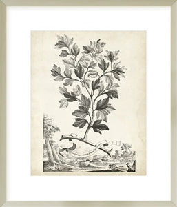 Biella Art framed prints melbourne