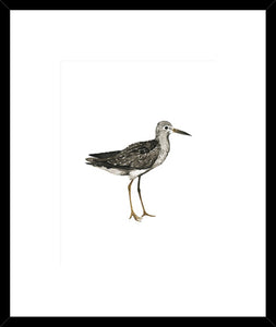 Biella Art framed prints melbourne