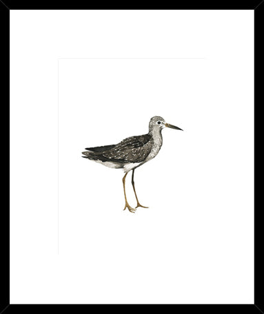 Biella Art framed prints melbourne