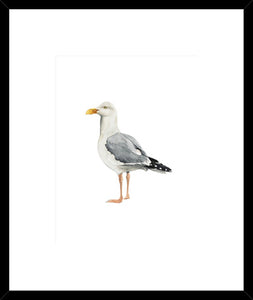 Biella Art framed prints melbourne