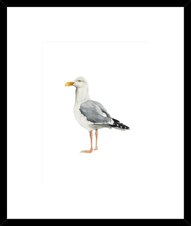 Biella Art framed prints melbourne