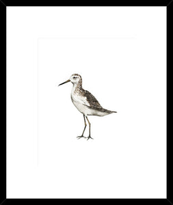 Biella Art framed prints melbourne