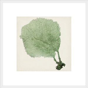 Biella Art framed prints melbourne