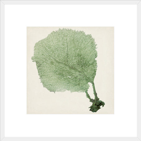 Biella Art framed prints melbourne