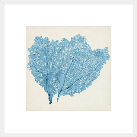 Biella Art framed prints melbourne