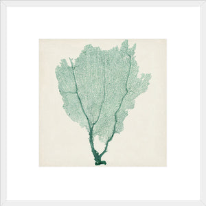 Biella Art framed prints melbourne