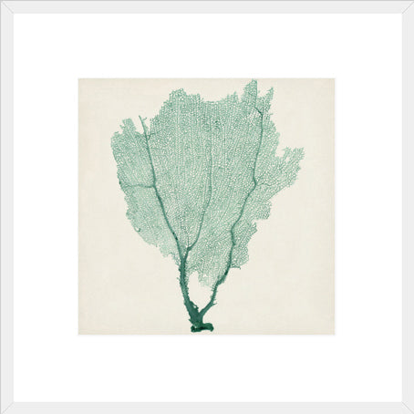 Biella Art framed prints melbourne