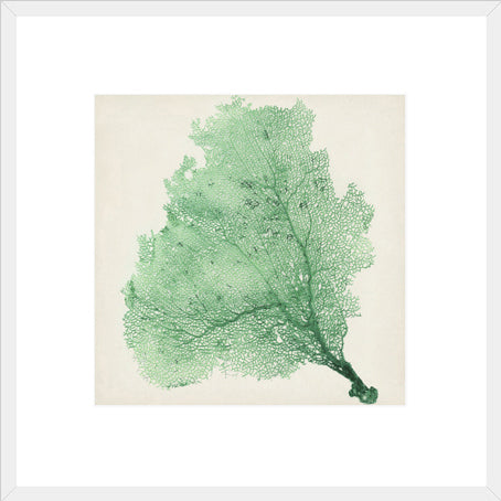 Biella Art framed prints melbourne