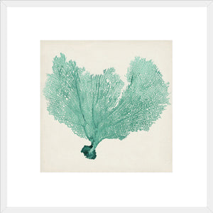 Biella Art framed prints melbourne