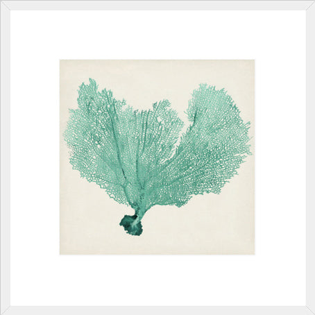 Biella Art framed prints melbourne