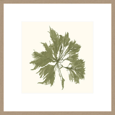 Biella Art framed prints melbourne