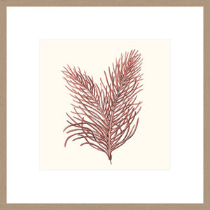 Biella Art framed prints melbourne