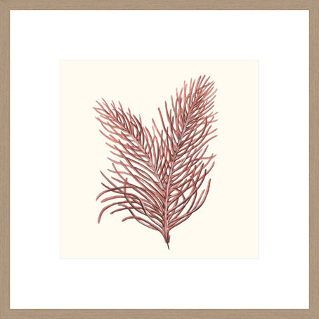 Biella Art framed prints melbourne