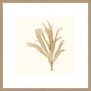 Biella Art framed prints melbourne