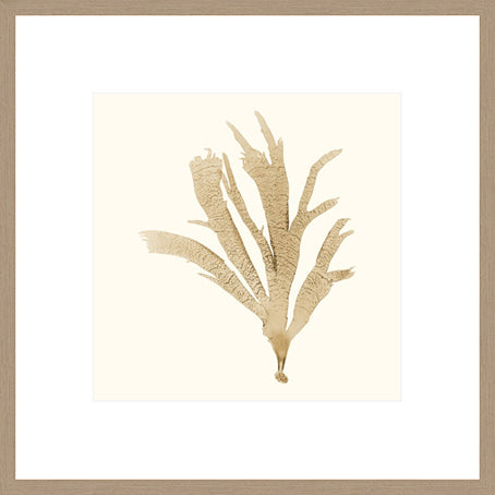 Biella Art framed prints melbourne