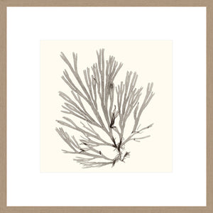 Biella Art framed prints melbourne