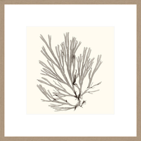 Biella Art framed prints melbourne