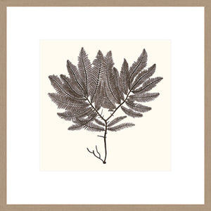 Biella Art framed prints melbourne