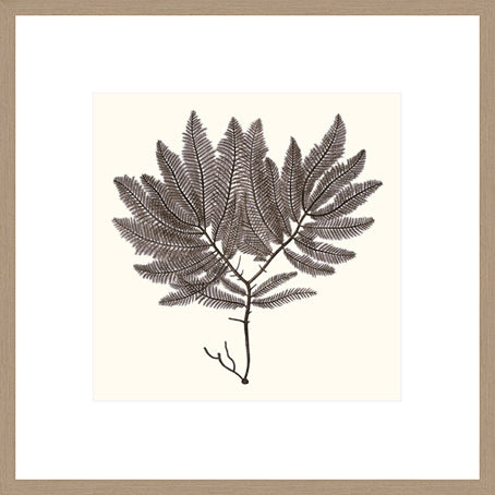 Biella Art framed prints melbourne