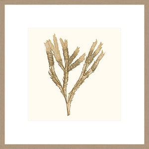 Biella Art framed prints melbourne