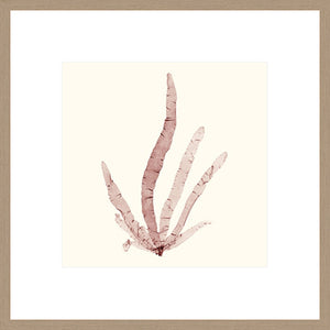 Biella Art framed prints melbourne