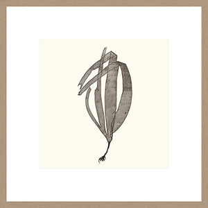 Biella Art framed prints melbourne