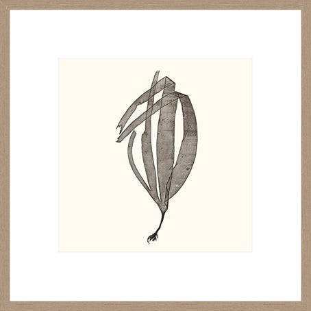 Biella Art framed prints melbourne
