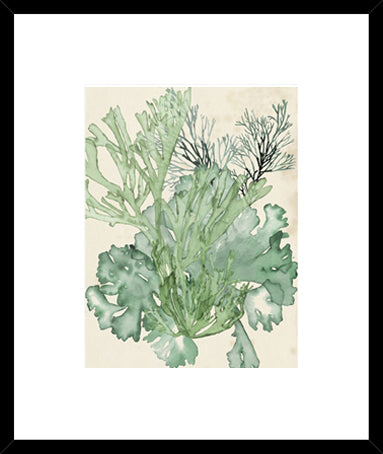 Biella Art framed prints melbourne