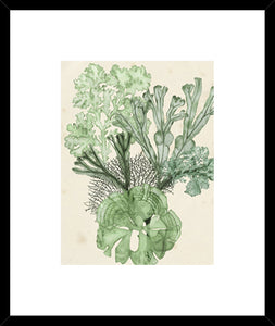 Biella Art framed prints melbourne