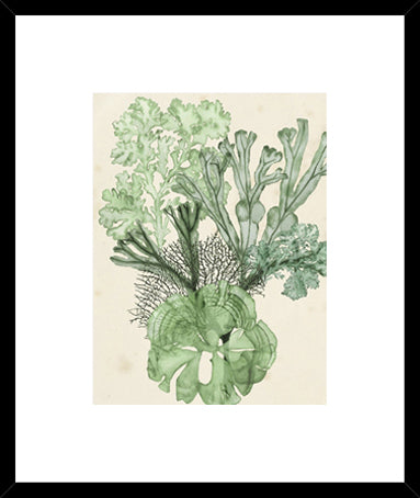 Biella Art framed prints melbourne