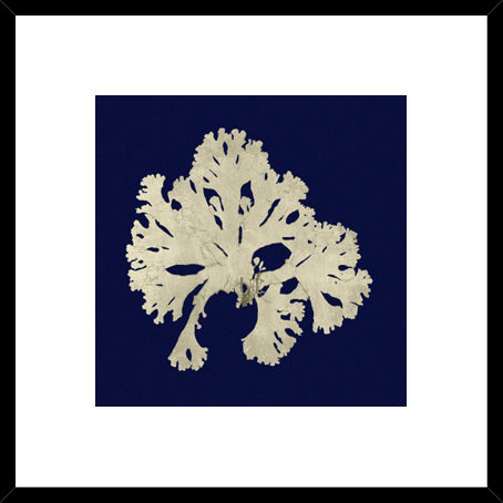 Biella Art framed prints melbourne