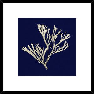 Biella Art framed prints melbourne