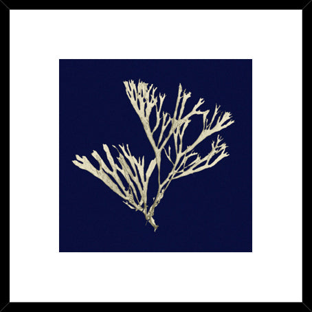 Biella Art framed prints melbourne