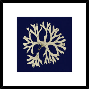 Biella Art framed prints melbourne