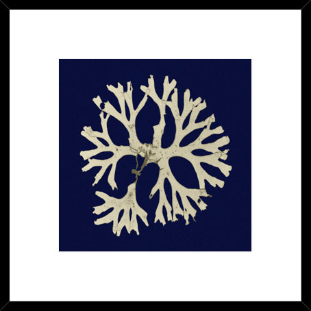 Biella Art framed prints melbourne