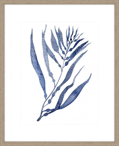Seaweed Under Water III