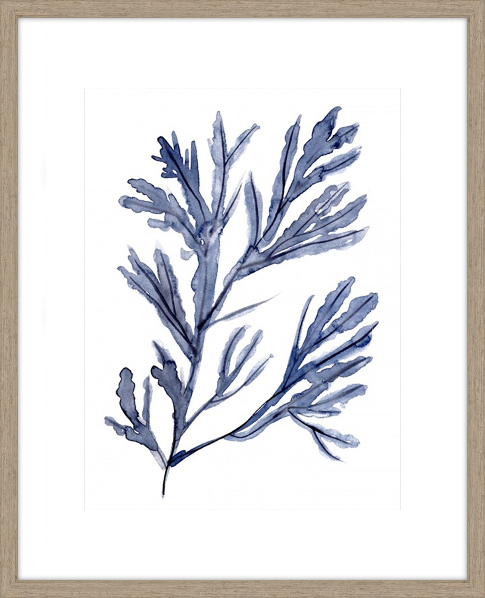Seaweed Under Water I